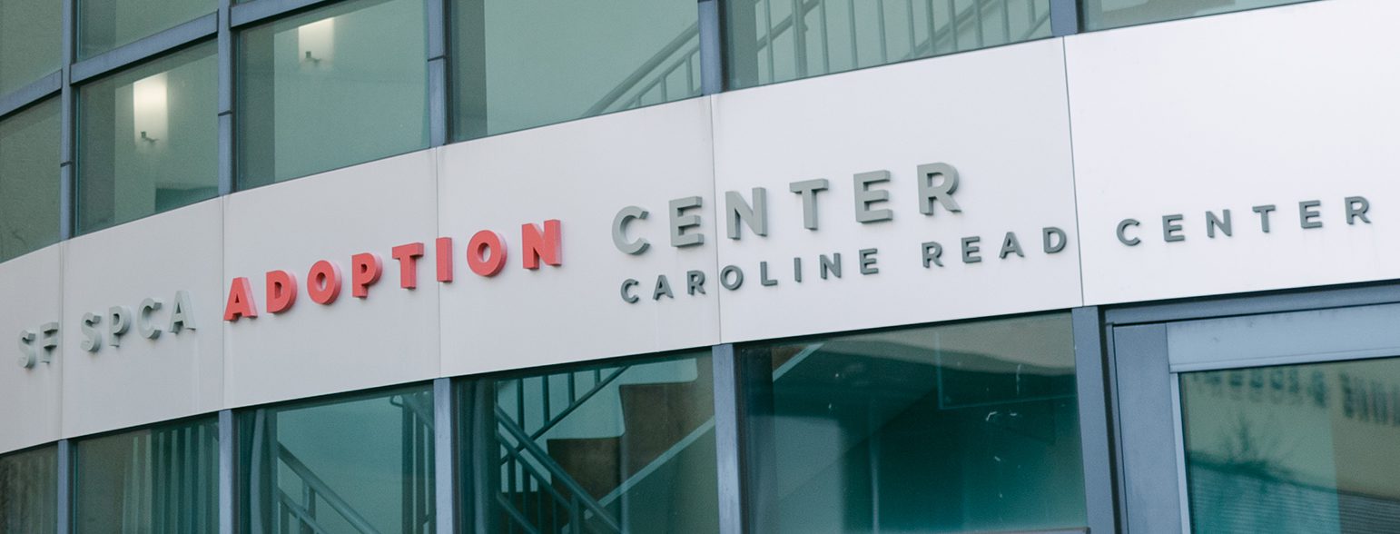 San Francisco SPCA Adoption Center Caroline Read Center