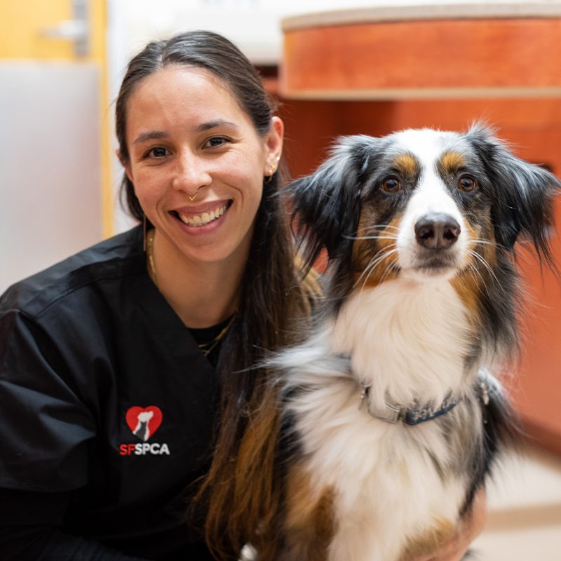 San Francisco SPCA Dr. Kat Geating