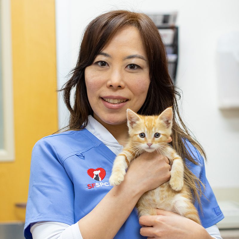 San Francisco SPCA Dr. Katie Park