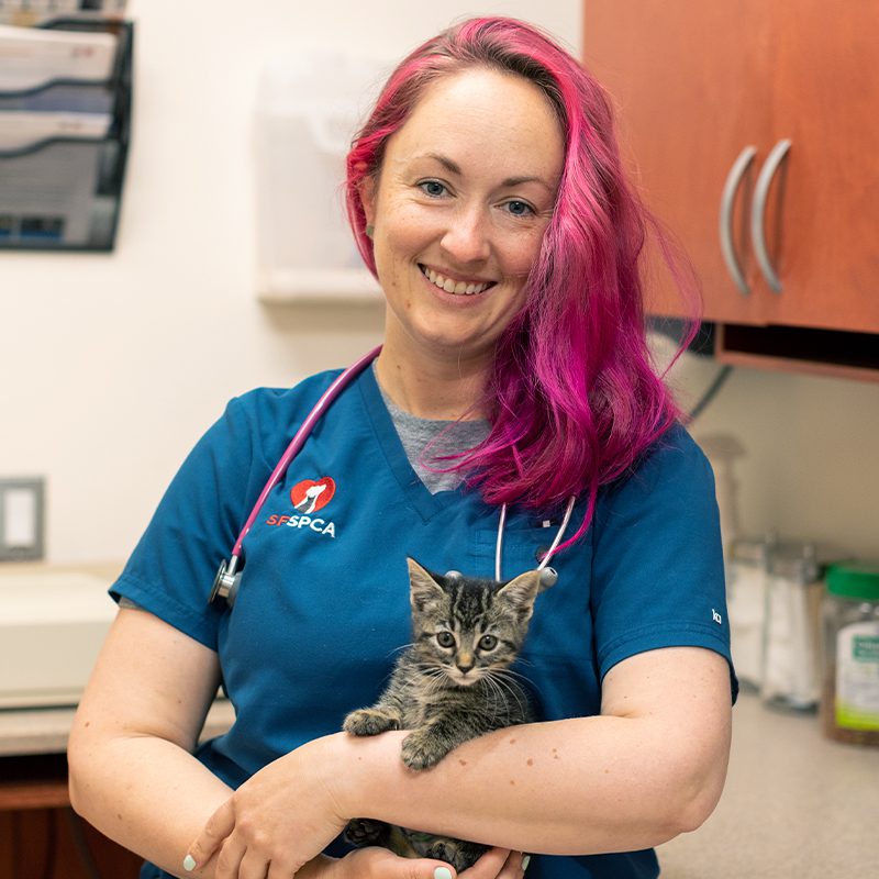 San Francisco SPCA Dr. Lindsay Wilson