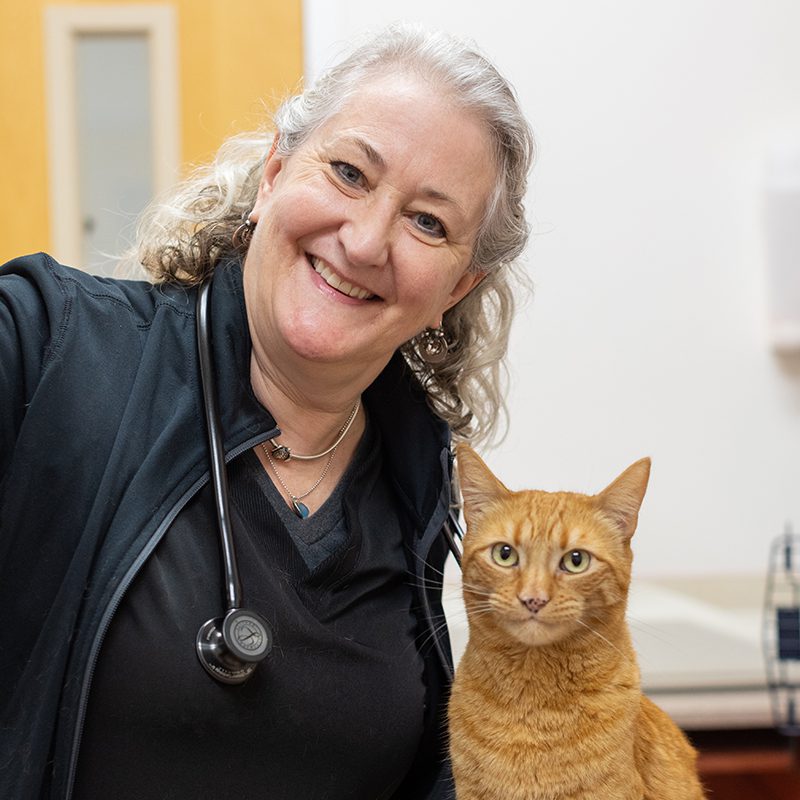 San Francisco SPCA Veterinarian Cynthia Lynn