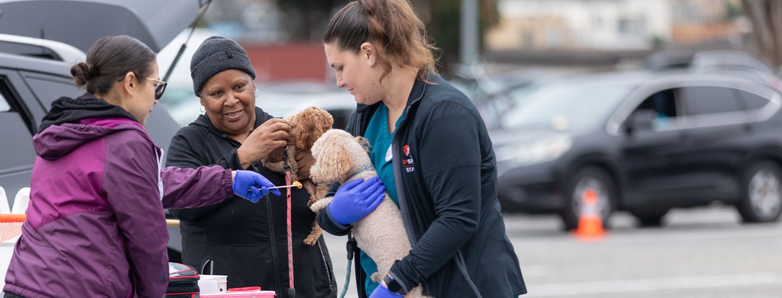 San Francisco SPCA Mobile Vaccine Clinic