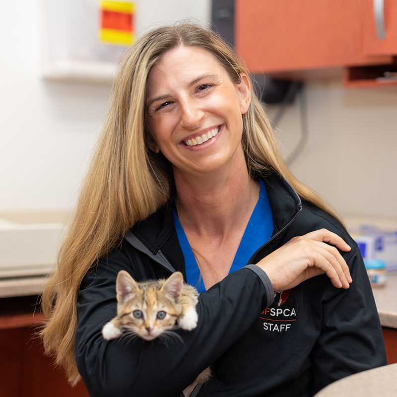 SF SPCA veterinarian Lindsey Meyer holding a kitten
